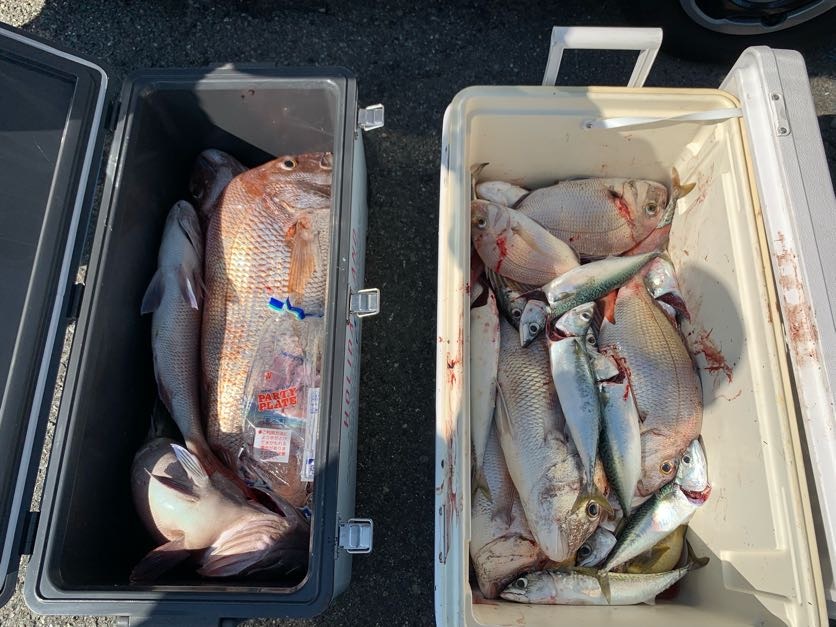 釣り大会6.jpg