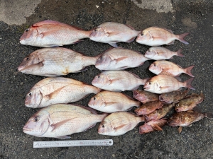 釣果.jpg